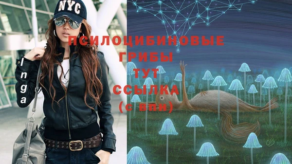 ПСИЛОЦИБИНОВЫЕ ГРИБЫ Армянск