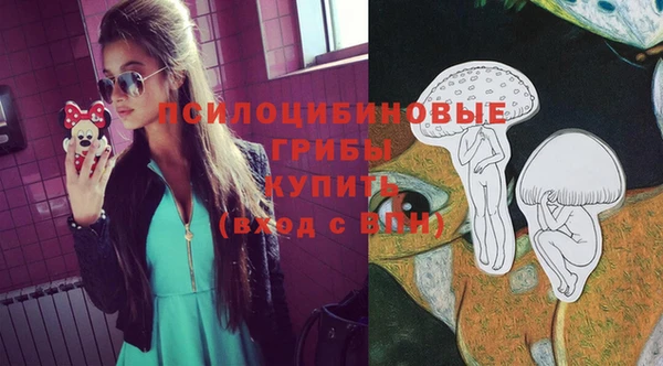 PSILOCYBIN Аркадак
