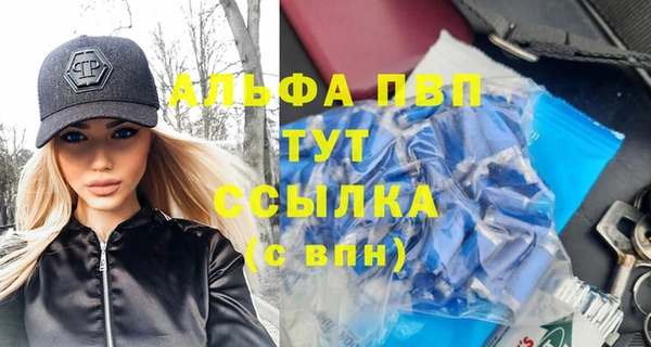 PSILOCYBIN Аркадак