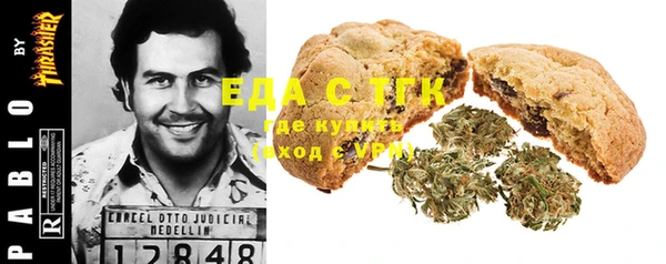 PSILOCYBIN Аркадак