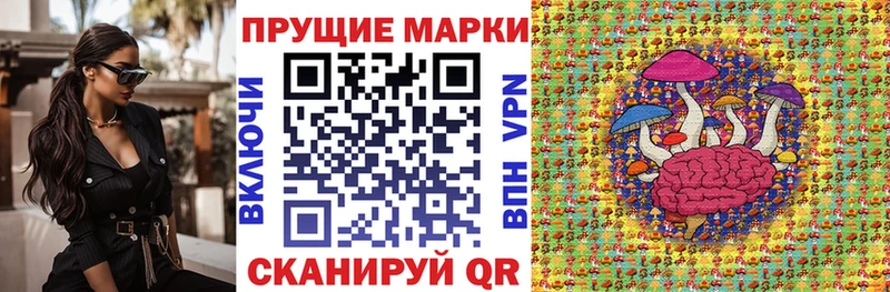 купить наркотик KRAKEN как войти Марки N-bome 1500мкг Рыльск